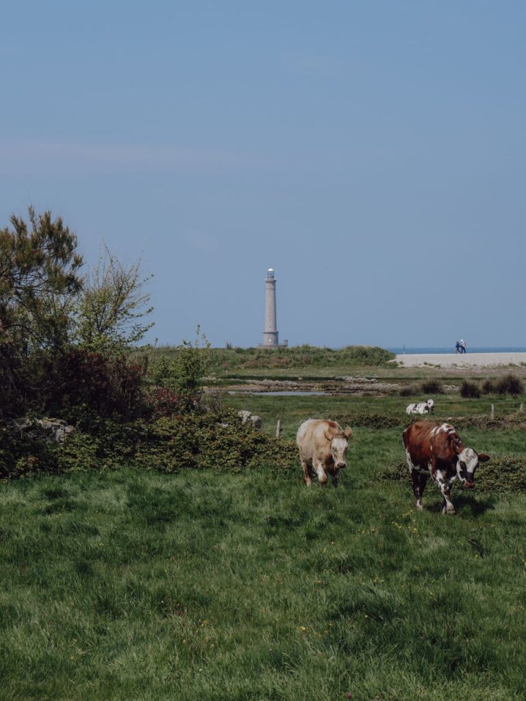 cotentin