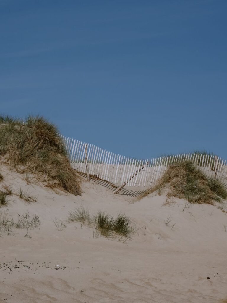 cotentin