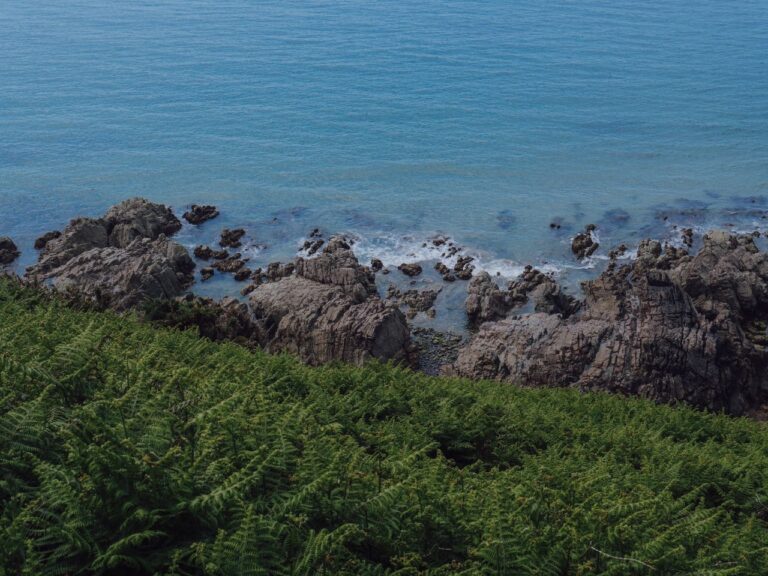 cotentin