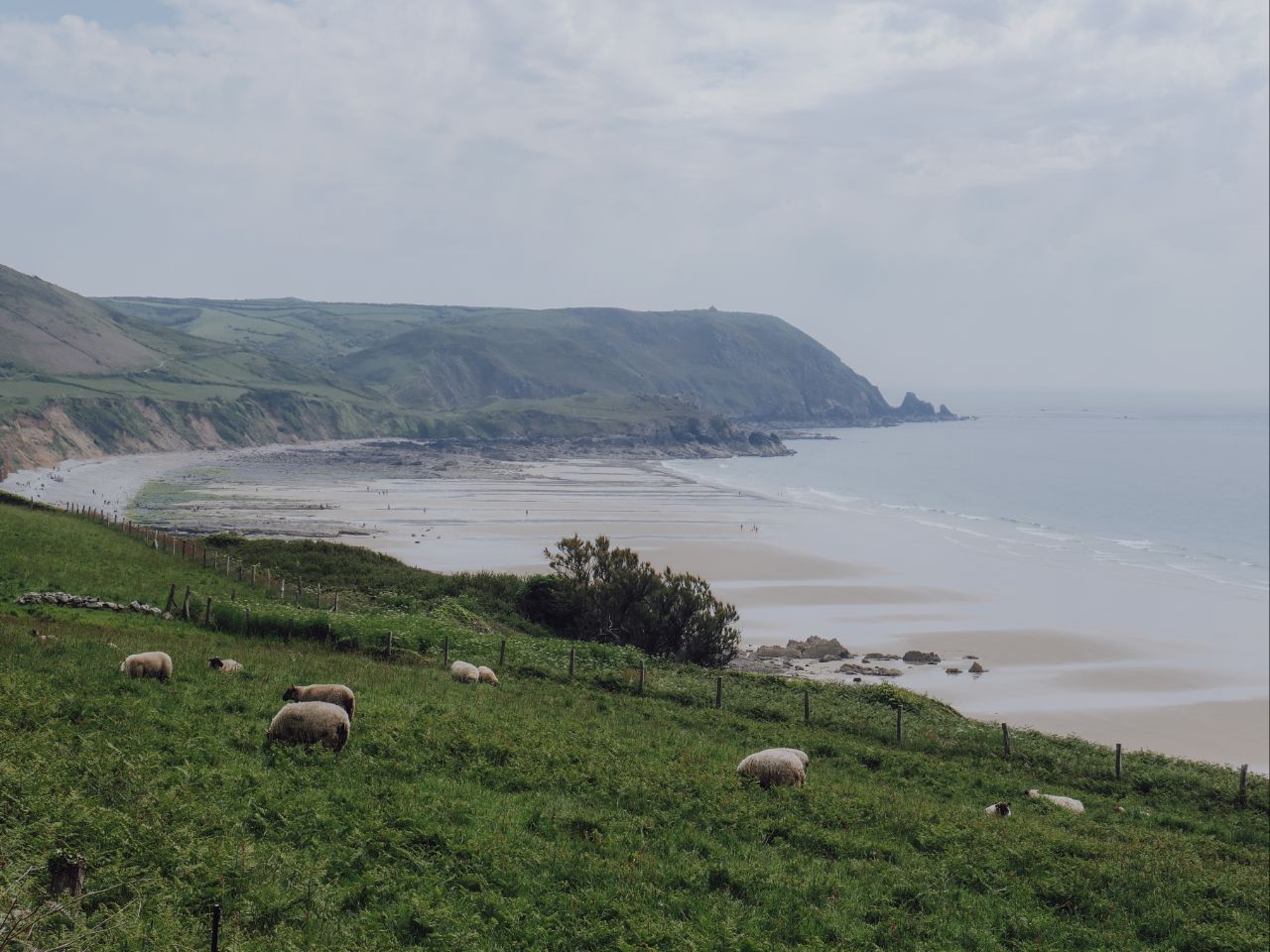 cotentin